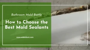 Bathroom Mold Battle How to Choose the Best Mold Sealants