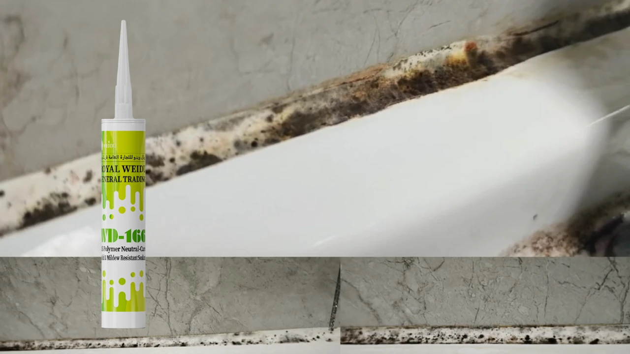 Weidu WD166 for Black Moldy Sink