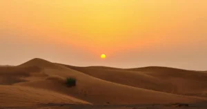 silicone sealant hot weather uae