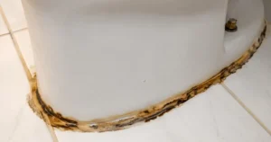 why-does-silicone-sealant-turn-yellow